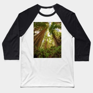 Redwood Forest Baseball T-Shirt